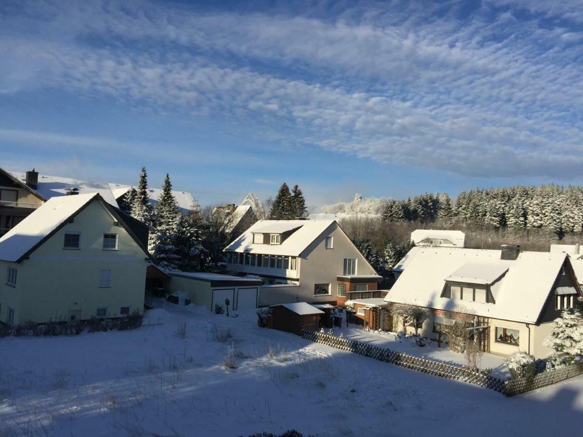 Goski & Gobike Winterberg 4K Netflix Free Экстерьер фото